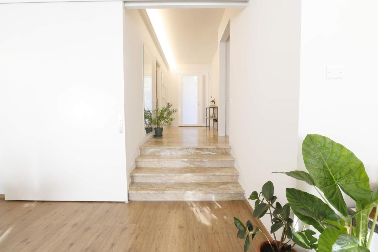 Pisacane61 B&B Modena Eksteriør billede